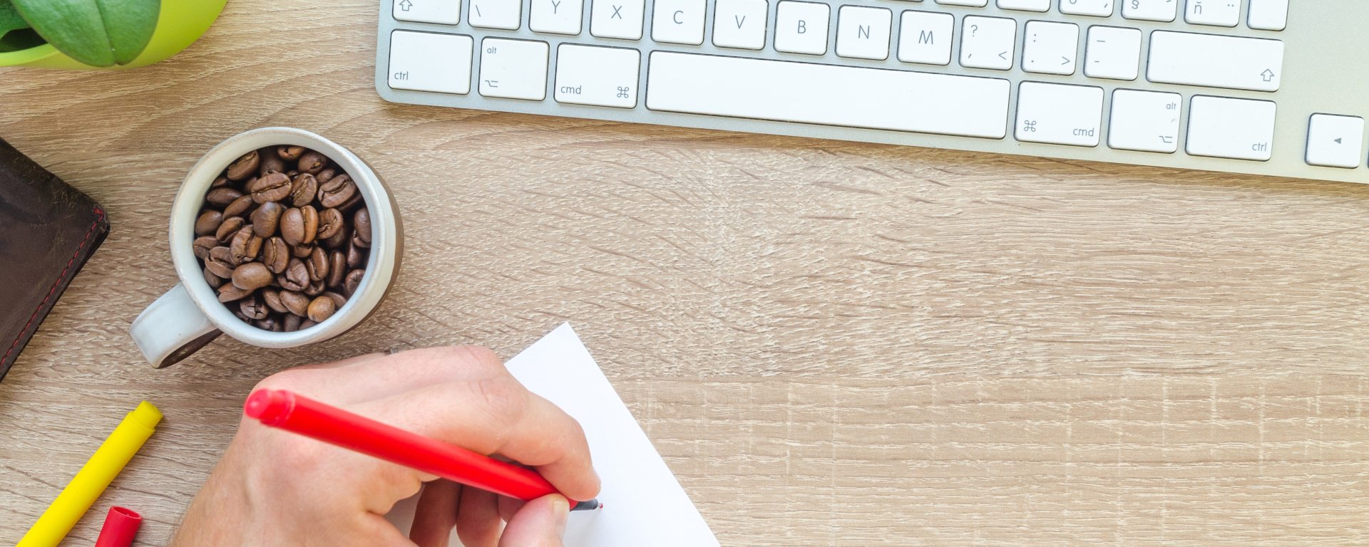 Norton support number